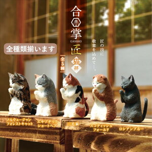 ySޑ܂zYELL G[   `Lq` S5A\[g Rv[g L lR 킢 tBMA  K` K`K`