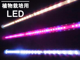 楽天市場 観葉植物 その他 ライト 照明器具 インテリア 寝具 収納の通販