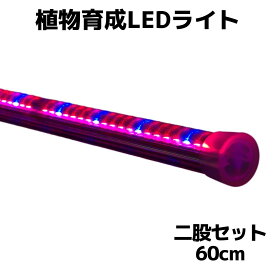 スイッチ付き　分岐ケーブル付き　お得2本セット【日本製】植物育成ライト（おひさまのLED）LED　長さ60cm　赤青ライト　軽量160g　省電力8.7W　防滴仕様　樹脂製　長寿命　低発熱　簡単設置　取付自由　植物栽培LEDライト　観葉植物　多肉植物　水耕栽培　野菜育成