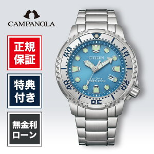 yԌIIōő100%|CgҌzV`Y v}X^[ BN0165-55L 44mm 44~ Y rv Yrv rv V`Yrv Vi Ki uh u[  F CITIZEN MARIN