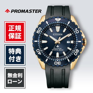 �y1/20����I���I�ōő�100%�|�C���g�Ҍ��z�V�`�Y�� �v���}�X�^�[ BN0196-01L 44.5mm 44.5�~�� �����Y �r���v �����Y�r���v �����r���v �V�`�Y���r���v �V�i ���K�i �u�����h �u���b�N �� ���F CITIZEN 