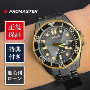 �y�n��97�N���K�X�z�y12�񖳋������[���z�y���E����6,700�{�z�V�`�Y�� �v���}�X�^�[ BN0264-53E 40mm �����Y �j�� �r���v �����r���v �V�i ���K�i �u�����h �u���b�N �� ���F CITIZEN �\�[���[ ���K�i