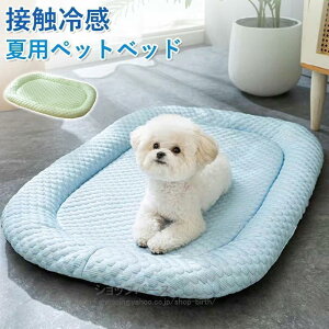 ybgxbh ėp L xbh xbh ڐG ӂӂ Ђ}bg NbV  ⊴ p}bg _炩 Ђ ybgpi }bg Lp ^