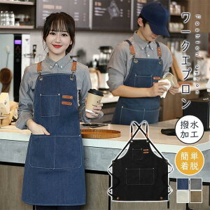 Gv  fB[X Y fjGv ۈm  n LoX X^ 傫TCY 킢 d  Ɩp Lb`