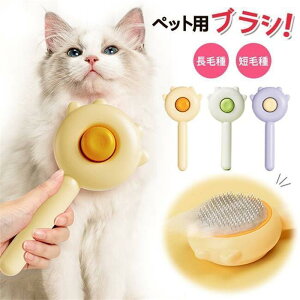 }WbN ybg R[ ɂȂ ybgpuV L  O[~O uV vbV юN[i[ ybg wA N[i[