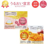 うるおい宣言 セラミドプラス アサイー味 30本入1ヶ月分 16年連続売上げ日本一 お試し コラーゲンゼリー …