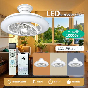 y10000lmzV[OCg LED V[Ot@Cg 8 10 12 ^ U DC[^[ É ȃGl Rt V@ DC[^[ É ȃGl  T[L[