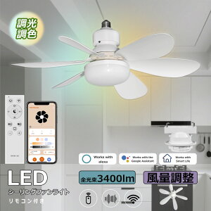 yP5{Iߓd/^zV[Ot@Cg E26 t@tV[OCg 6 8 10 V[Ot@ ^ @ DC[^[ É LED V[OCg 6  F ʒ V