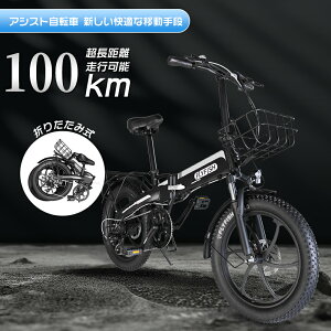y10000~OFF}\zy^FlzFLYFISH dAVXg] 20C` d܂肽ݎ]  \ 2way[h NXoCN JSt EBIKE }EeoCN 20C` j