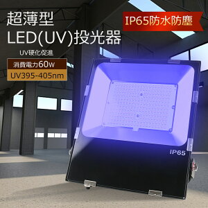 LED UV 60W ^ LED 390-405nmUV L͈͂Ƃ炷 LEDVƖ Ɠ 60W Cg VpLEDCg tXe[t ݂艺 ݒu^ 120°Ǝ IP65 hho Ogp D