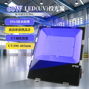 LED UV 60W ^ LED 365-405nmUV L͈͂Ƃ炷 120°Ǝ IP65 hho Ogp  ̏{ H OƖ LED ^ oƖ  ^ Ɩ 