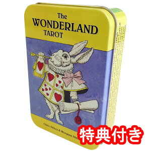 ^bgJ[h 78 EFCg 肢y_[hE^bgiʓjzhʃP[XƂȂAҖ]̍Ĕ́IAX̃^bgJ[hh