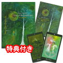 タロットカード 78枚 ウェイト版 占い【妖精からの78枚のメッセージ タロットカード】ガーデン・タロット　セット