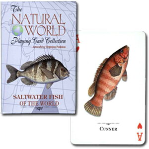 �y�L���C�ɏZ�ޗl�X�ȋ������z�g�����v�@�i�`�������E���[���h �C����