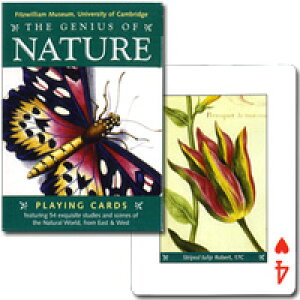 Ńgvygv@lC`[zh̒̓AAɕxmR܂Łh