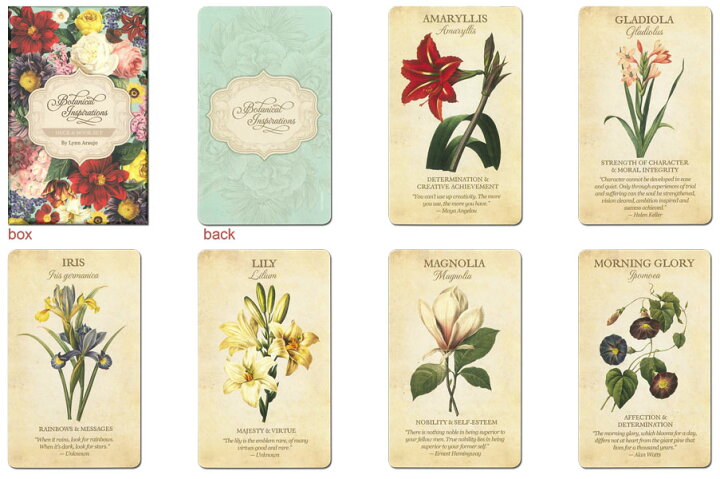 オラクルカード Us Games Systems 正規販売店 ボタニカル インスピレーション Botanical Inspirations 花 占い 英語のみ Waku Waku Shop 植物のインスピレーションオラクルカード神秘的な占いタロットデッキボードゲーム絶妙なフラワーデザイン女性女の子