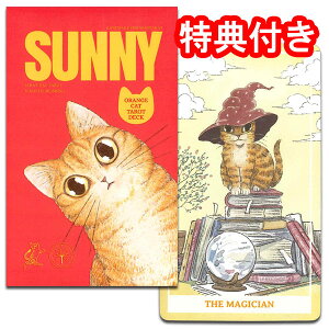 y|Cg10{z`11/26@8:59^bgJ[h 78 EFCg C_[ 肢 [Ki]yTj[@X^_[h@SUNNY STANDARDzhLƂƂɁAƂ₳h