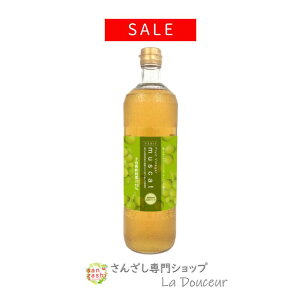 _SALE36%OFF^ }XJbghN ʎ| | 񂴂oi M1 ʏ` t[crlK[ }XJbg 1{ Zbg  NhN ehN 900ml | ސ|  vZ^ R[Q 