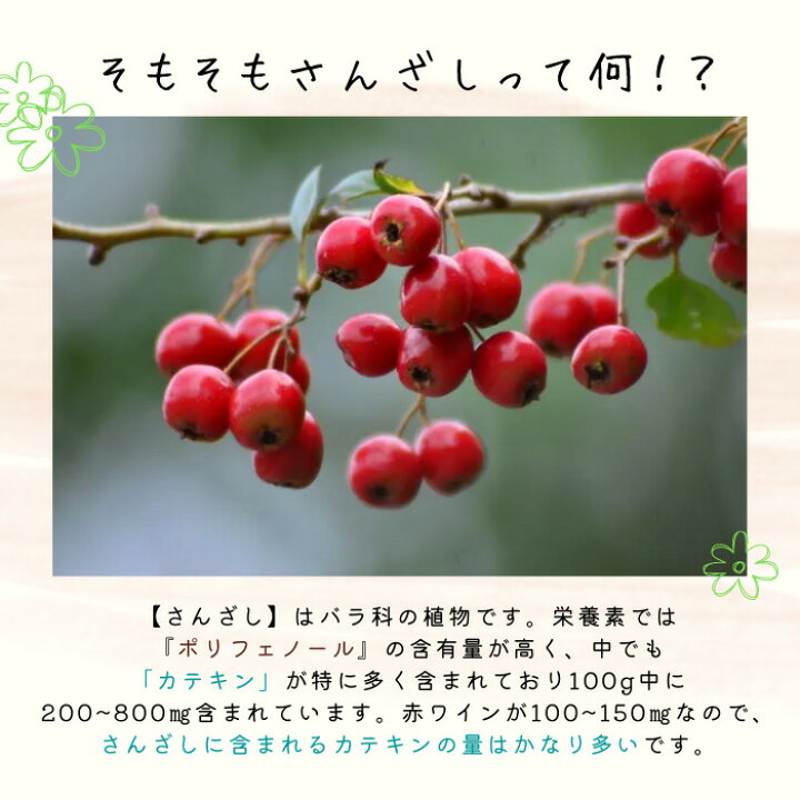 楽天市場 プレゼント付 さんざしドリンク 6本 正規品 S6pj 送料無料 さんざし サンザシドリンク 効果 セット 美容ドリンク 健康ドリンク フルーツハーブ 900ml 美容室 体調管理 希釈 贈り物 美容 健康 瓶 保管 さんざし専門ショップla Douceur