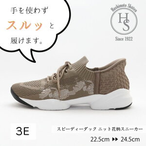 30P5{! yXs[fB[_bNz g킸   Xb IN Xj[J[ fB[X 3cm q[3Z` 3E y   ɂȂ R