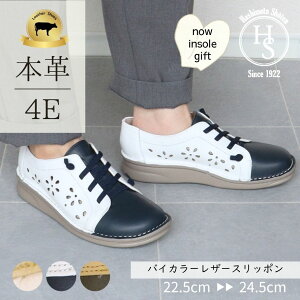 4E p`O U[ Xb| Xj[J[ O SR L b 2cm fB[X  l y {v ꂢ 50 60 