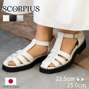 5̕tMAX1000~OFF! ySCORPIUSz XR[sEX X^bY OJT_ {v fB[X  3cm q[ L ₷ 2E { C  