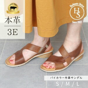 U[ T_ fB[X ₷ ؂  V[Y 3Z`q[ q[  ꂢ 3E {v  y EȂ