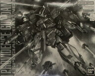 【中古】1/100 バンダイスピリッツ MG ZGMF-X13A プロヴィデンスガンダム [スペシャルコーティング] 　 …