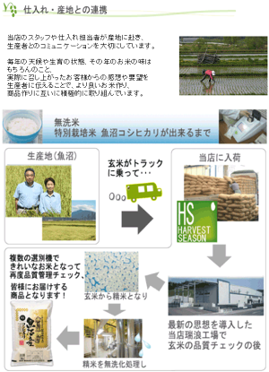 無洗米特別栽培米新潟県魚沼産コシヒカリができるまで!