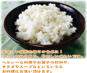 毎日の食卓に!