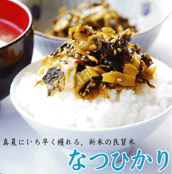 楽天市場】新米 令和6年産 [数量限定] 無洗米 高知県産なつ