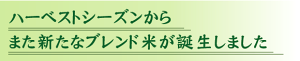 ほのか1