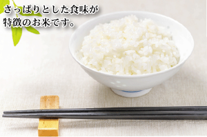 ほのか5