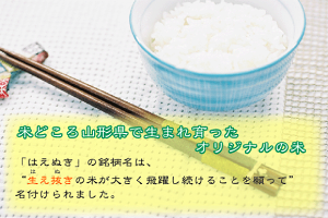 はえぬき4