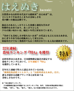山形はえぬき2