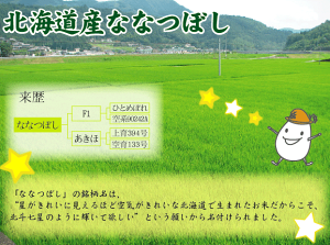 ななつぼしについて3