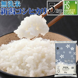 ߘa6NY  VY RVqJ5kg yză}CX^[I HACCPFHShop Of The Year đ [kCւ͕̂͂ʓr760~]