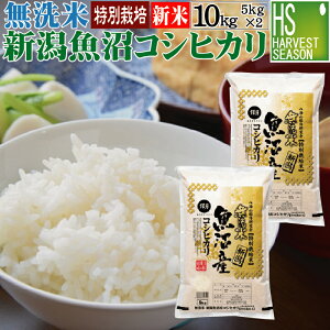 V ߘa7NY  VYRVqJ 10kg 5kg×2 ʍ͔|āyz yHNAz Shop Of The Year đ [kCւ͕̂͂ʓr760~]