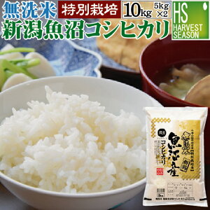 ߘa6NY  VYRVqJ 10kg 5kg×2 ʍ͔|āyz yHNAz Shop Of The Year đ [kCւ͕̂͂ʓr760~]