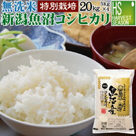 令和6年産 無洗米 新潟県魚沼産コシヒカリ20kg 5kg×4袋 特別栽培米【送料無料】 【食味ランク特A】 Shop Of The Year 米大賞 [北海道沖縄へのお届けは別途送料760円]
