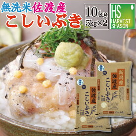 令和7年産 無洗米 新潟県佐渡産こしいぶき10kg(5kg×2袋) 【送料無料】Shop Of The Year 米ジャンル大賞[北海道沖縄へは別途送料760円]【コンビニ受取 コンビニ決済 後払い 可】