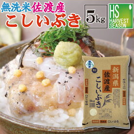 令和7年産 無洗米 新潟県佐渡産こしいぶき 5kg 【送料無料】Shop Of The Year 米ジャンル大賞[北海道沖縄へは別途送料760円]【コンビニ受取 コンビニ決済 後払い 可】