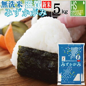 V  ꌧY݂ 5kg ߘa7NYyz[kCւ͕ʓr760~][Rrj Rrj 㕥 ]