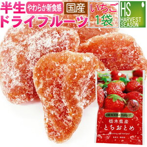 Y  hCt[c  Ȗ،Y ƂƂ 120g[5܂܂Ń[֔z][6܈ȏEʓrz֑Ή͑iƓOK/&wOK][kCւ͑1520~][[