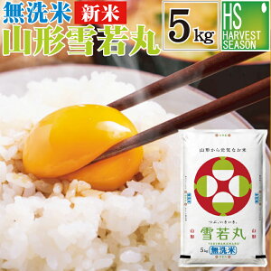 yBLACKFRIDAY |Cg5{zV  R`Y  䂫킩܂ 5kgߘa7NYyz [kCւ͕̂͂ʓr760~] yRrj Rrj 㕥 z