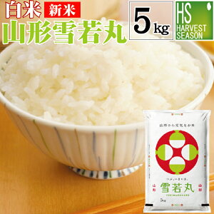 V   R`Y  䂫킩܂ 5kg ߘa7NYyz [kCւ͕̂͂ʓr760~] yRrj Rrj 㕥 z