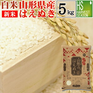 V  R`Y͂ʂ 5kg ߘa7NYyz  Shop Of The Year đ [kCւ͕̂͂ʓr760~] yRrj Rrj 㕥 z