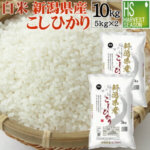 Vėߘa7NY   VYRVqJ 10kg(5kg×2)yzyn[xXgV[YzykCւ͕̂͂ʓr760~zyRrjΉiz