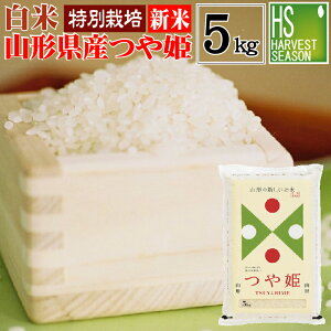 V  ʍ͔|ĎR`YP 5kgyzߘa7NYy͔ĂłBĂł͂܂zShop Of The YearăW܁ [y_yjc]ykCւ͕ʓr7