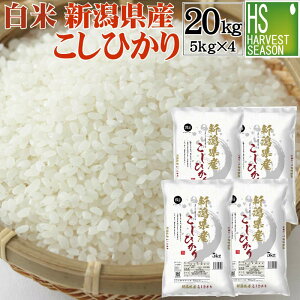 Vėߘa7NY   VYRVqJ 20kg(5kg×4)yzyn[xXgV[YzykCւ͕̂͂ʓr760~zyRrjΉiz